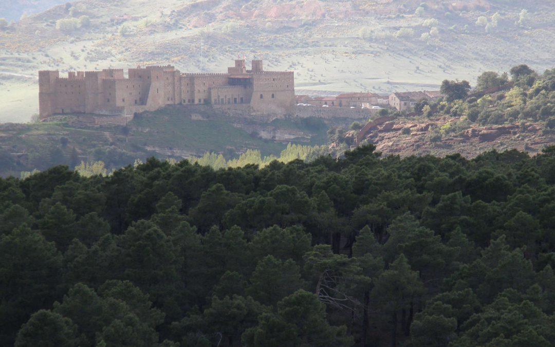 El Histórico Pinar de Sigüenza