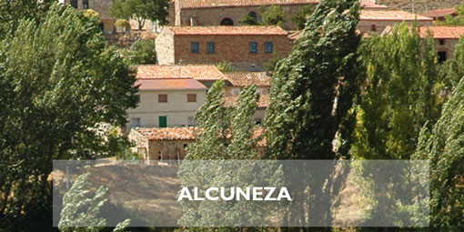 Alcuneza