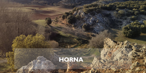 Horna