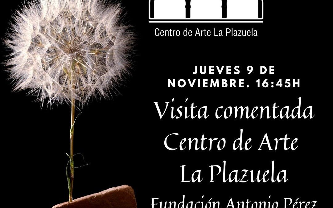 Visita comentada al Centro de Arte: «La Plazuela»